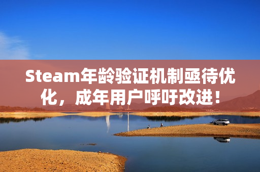 Steam年龄验证机制亟待优化，成年用户呼吁改进！