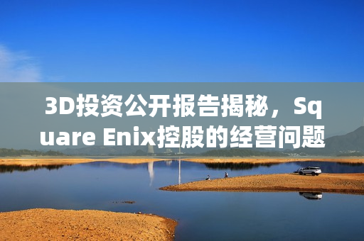 3D投资公开报告揭秘，Square Enix控股的经营问题与策略分析