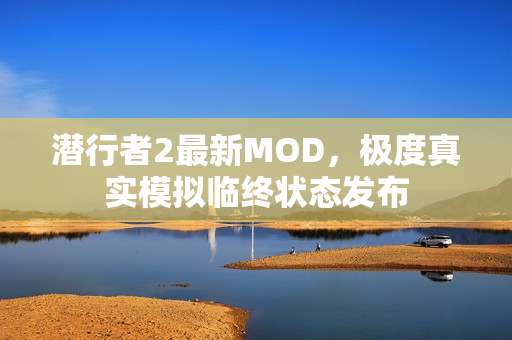 潜行者2最新MOD，极度真实模拟临终状态发布