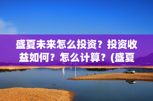 盛夏未来怎么投资？投资收益如何？怎么计算？(盛夏未来怎么了)