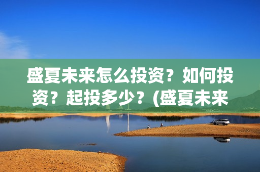 盛夏未来怎么投资？如何投资？起投多少？(盛夏未来怎么过审的)