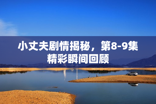 小丈夫剧情揭秘，第8-9集精彩瞬间回顾