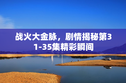 战火大金脉，剧情揭秘第31-35集精彩瞬间