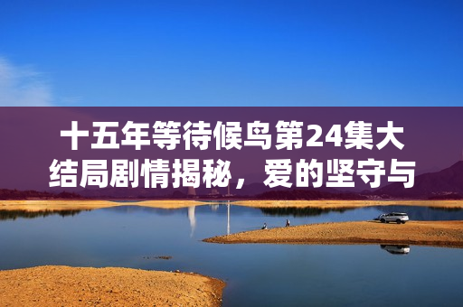 十五年等待候鸟第24集大结局剧情揭秘，爱的坚守与离别之痛