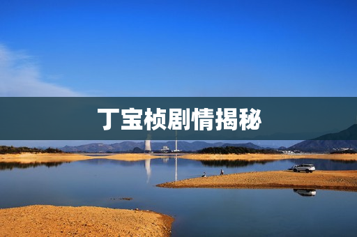 丁宝桢剧情揭秘