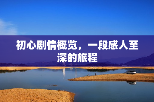 初心剧情概览，一段感人至深的旅程