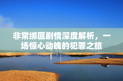 非常绑匪剧情深度解析，一场惊心动魄的犯罪之旅