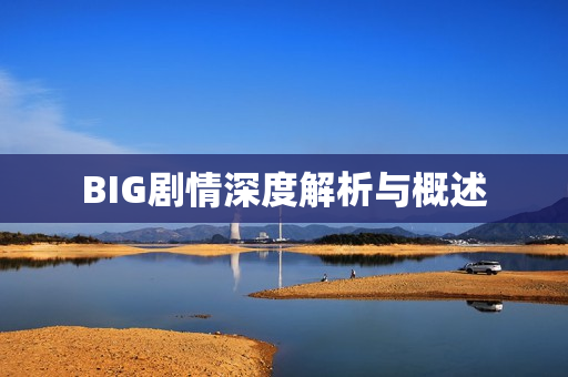 BIG剧情深度解析与概述
