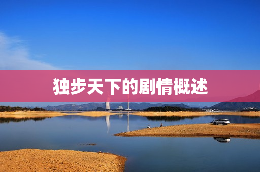 独步天下的剧情概述