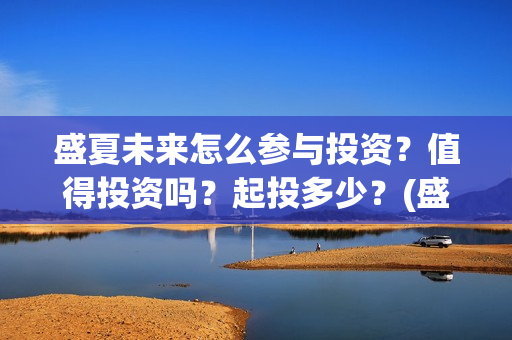 盛夏未来怎么参与投资？值得投资吗？起投多少？(盛夏未来怎么过审的)