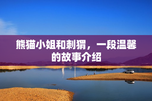 熊猫小姐和刺猬，一段温馨的故事介绍