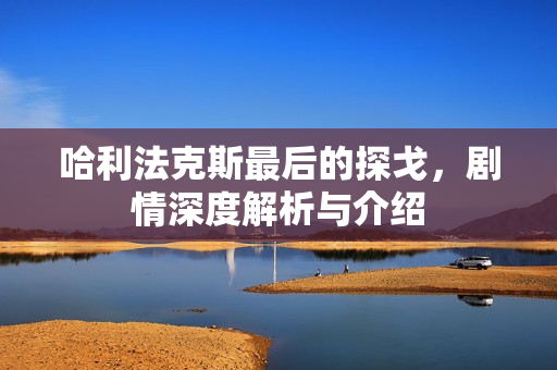 哈利法克斯最后的探戈，剧情深度解析与介绍