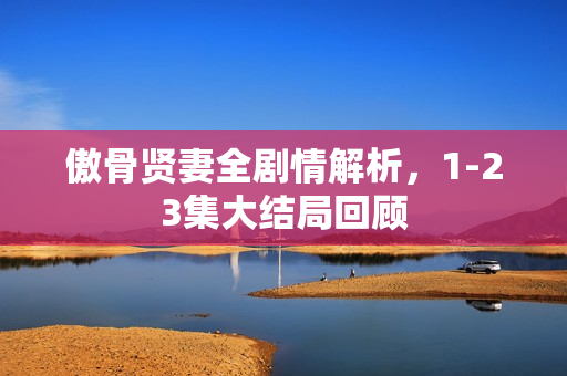 傲骨贤妻全剧情解析，1-23集大结局回顾