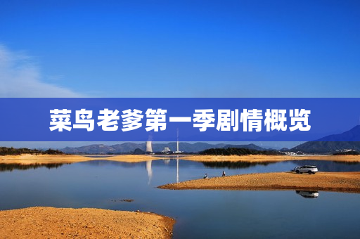 菜鸟老爹第一季剧情概览