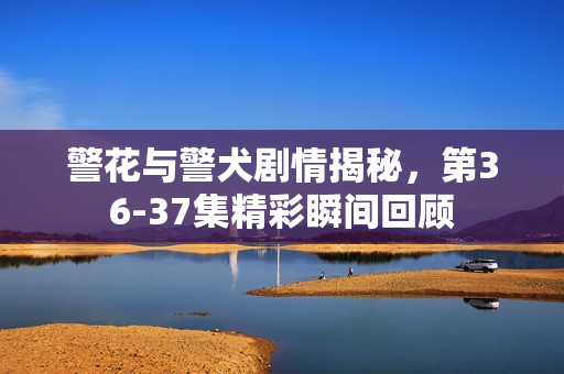 警花与警犬剧情揭秘，第36-37集精彩瞬间回顾