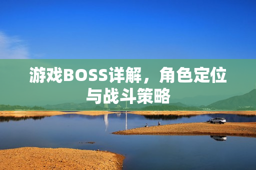 游戏BOSS详解，角色定位与战斗策略