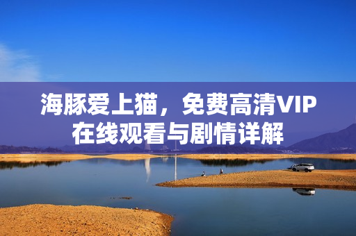 海豚爱上猫，免费高清VIP在线观看与剧情详解