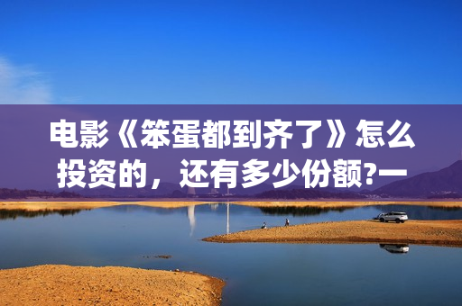 电影《笨蛋都到齐了》怎么投资的，还有多少份额?一个份额多少钱?(笨蛋1+1)
