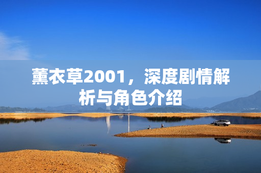 薰衣草2001，深度剧情解析与角色介绍