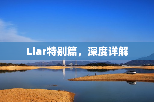Liar特别篇，深度详解