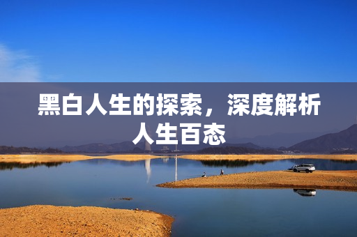 黑白人生的探索,深度解析人生百态 黑白人生的探索,深度解析人生百态