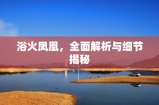 浴火凤凰，全面解析与细节揭秘