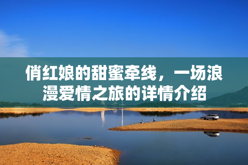俏红娘的甜蜜牵线,一场浪漫爱情之旅的详情介绍 俏红娘的甜蜜牵线,一场浪漫爱情之旅的详情介绍