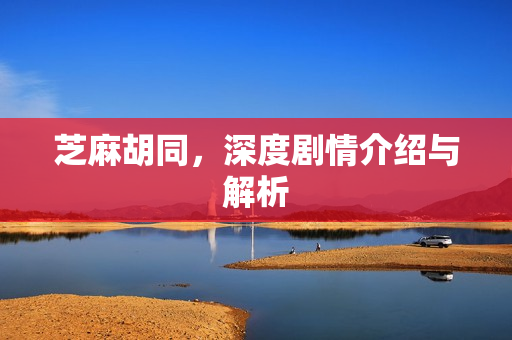 芝麻胡同，深度剧情介绍与解析