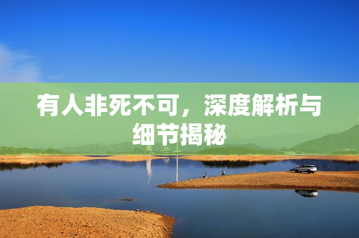 有人非死不可，深度解析与细节揭秘