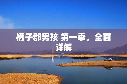 橘子郡男孩 第一季，全面详解