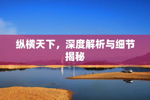 纵横天下，深度解析与细节揭秘
