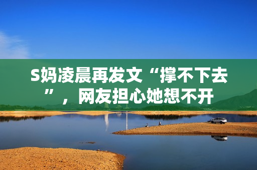 S妈凌晨再发文“撑不下去”，网友担心她想不开