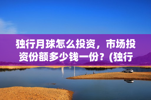 独行月球怎么投资，市场投资份额多少钱一份？(独行月球投资方)