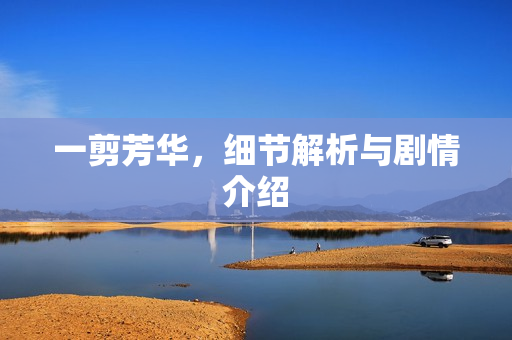 一剪芳华，细节解析与剧情介绍