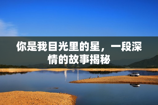 你是我目光里的星，一段深情的故事揭秘