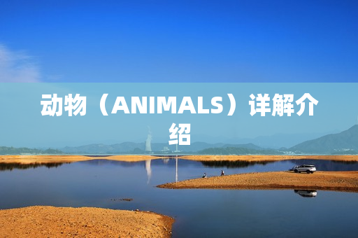动物（ANIMALS）详解介绍