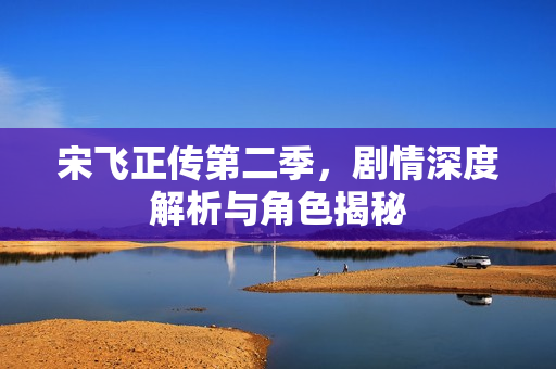 宋飞正传第二季，剧情深度解析与角色揭秘