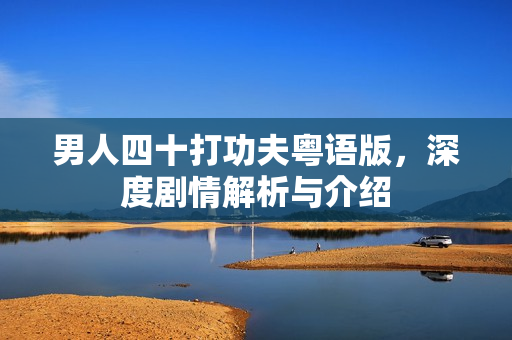 男人四十打功夫粤语版,深度剧情解析与介绍 男人四十打功夫粤语版,深度剧情解析与介绍