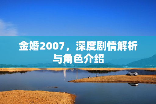 金婚2007，深度剧情解析与角色介绍