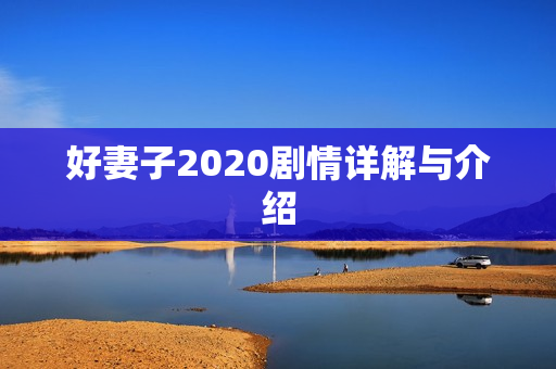 好妻子2020剧情详解与介绍