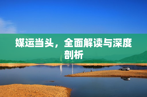 媒运当头，全面解读与深度剖析