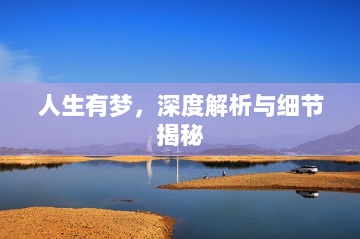 人生有梦，深度解析与细节揭秘