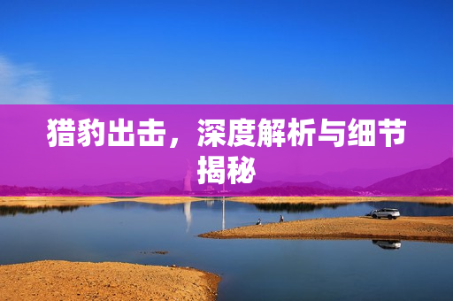 猎豹出击，深度解析与细节揭秘