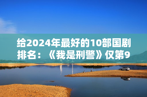 给2024年最好的10部国剧排名：《我是刑警》仅第9