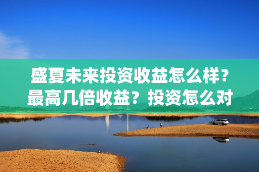 盛夏未来投资收益怎么样？最高几倍收益？投资怎么对接？(盛夏未来投资收益怎么样)