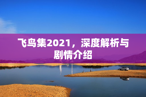 飞鸟集2021，深度解析与剧情介绍