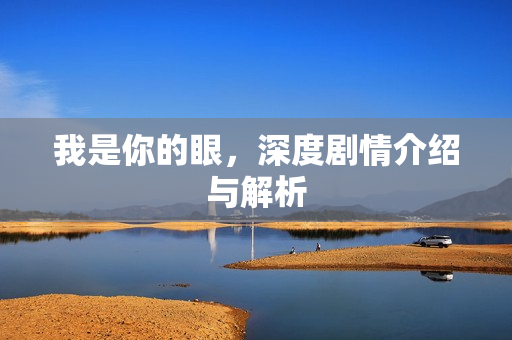 我是你的眼，深度剧情介绍与解析