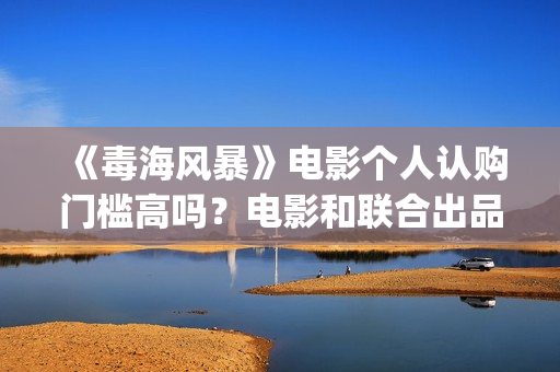 《毒海风暴》电影个人认购门槛高吗？电影和联合出品签约有风险吗？(毒海风暴上映时间)