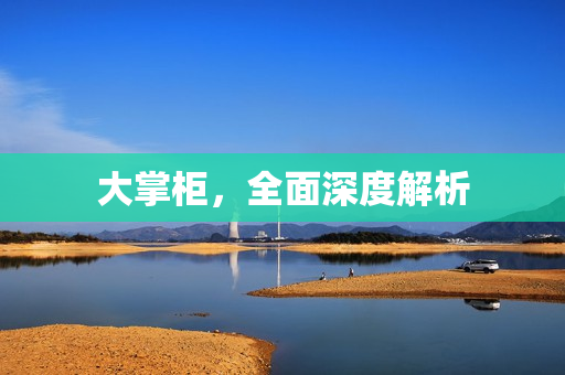 大掌柜，全面深度解析