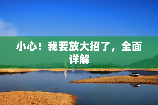 小心！我要放大招了，全面详解